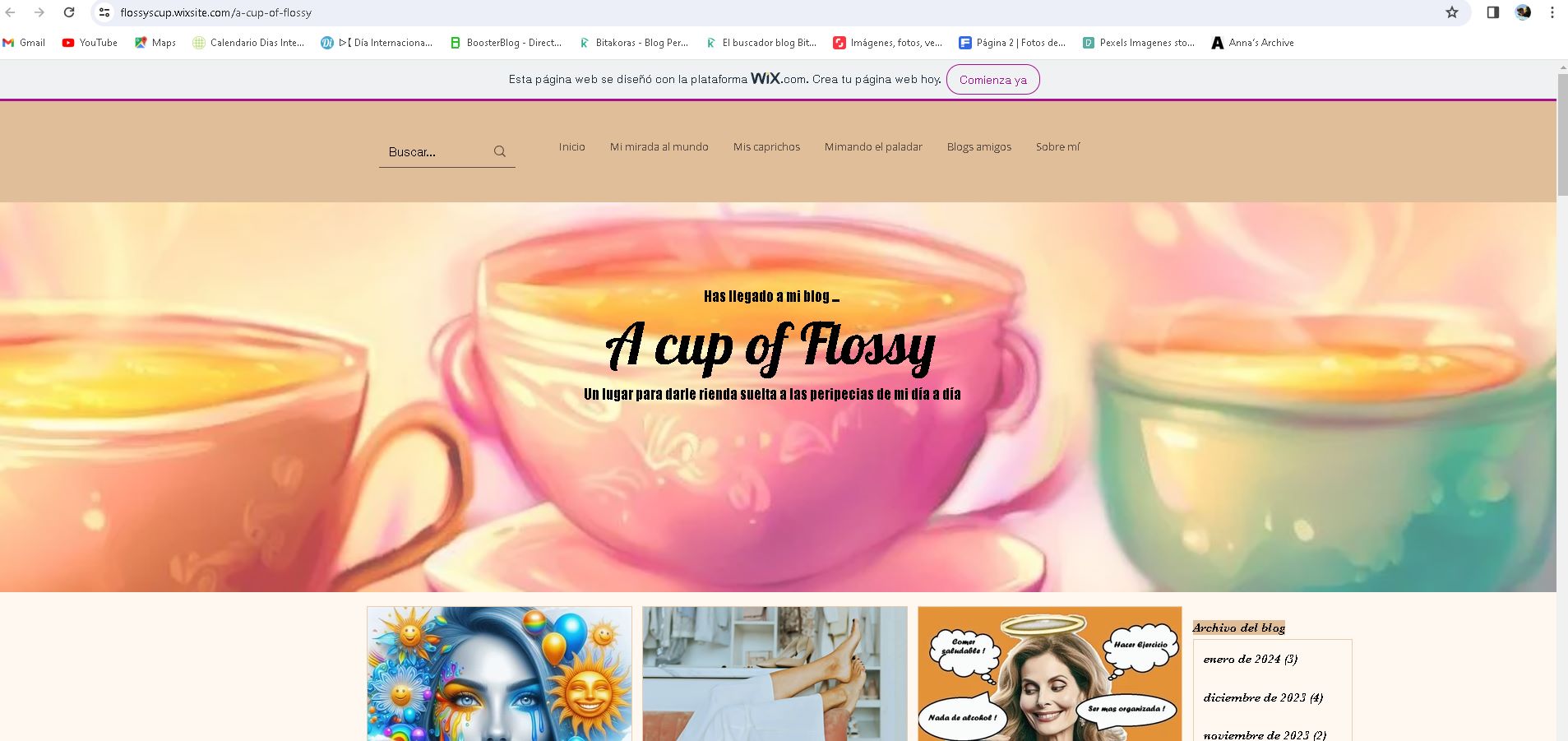 Ranking y directorio web - A cup of Flossy en Navegax